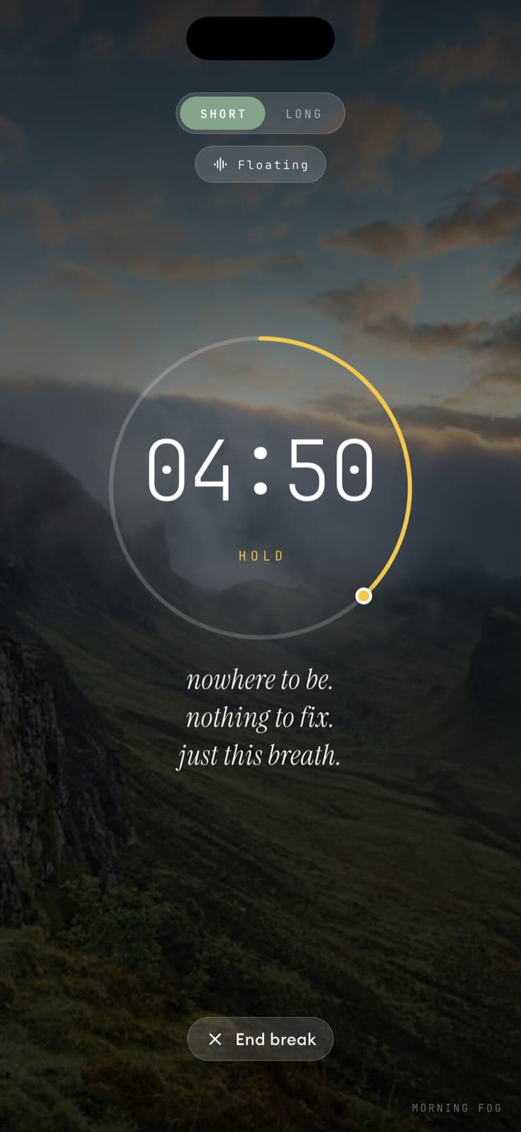 The break screen — a countdown over a landscape, a breathing cue, and a line to land on