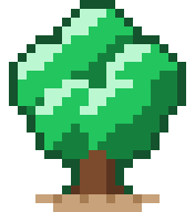 Oak